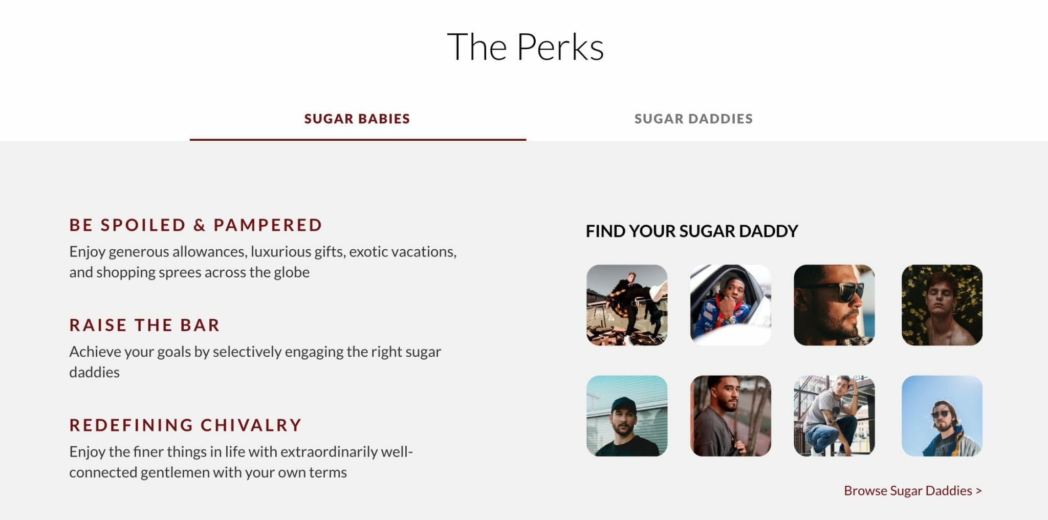 Sugar Book Review Features Pricing Pros Cons