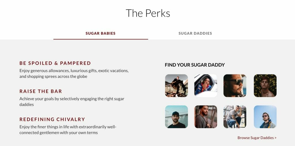 Sugarbook the perks